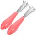 PLAFOPE Lot De 2 Peignes De Nettoyage Pour Enlever Poils Et Peluches Couleur Al atoire