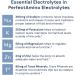 BodyHealth PerfectAmino Electrolytes Powder No Sugar, Keto Sugar Free Fasting Electrolytes Drink Mix, Hydration Powder with Trace Minerals - Mixed Berry - 60 Servings Mixed Berry 10.6 Ounce (Pack of 1) - Buy Online on GoSupps.com