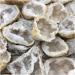 Natural Crystal Rough Natural White Agate Geode Slice Quartz Crystal Cluster MineralsCrystal Home Decoration for Decoration Stone Generator HOMEZHOU 2pcs - Buy Online on GoSupps.com