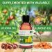 KitaMa Ylang Ylang Massage Oil - 5000ml Aroma Body Care Oil for Relaxation - Thai Nourishing Oil for Massages - Buy Online on GoSupps.com