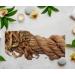 Amlavet-Garcinia Pedunculata-Raw Herbs-Amalved-Jadi Booti-Single Herbs (50 Gram) - Buy Online on GoSupps.com