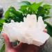 Crystal 200g-2000g Rough Natural Clear Geode Quartz Cluster Crystal Stone 1pc Suitable for Home Office Decoration Full of Texture (Color : 320g-450g 1pc) - Buy Online on GoSupps.com
