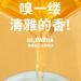 Rainforest Ancient Tree Pasha 2021 Raw Pu-Erh Tea Cake 357g Premium Yunnan Sheng Puerh Rich & Mellow - Buy Online on GoSupps.com