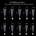 Noverlife 1200PCS C Curved Long Stiletto French False Nail Tips | 10 Sizes Half Cover Acrylic Claw Nails | Nail Art Fingernail Tips for Salon DIY | Clear & Natural - Buy Online on GoSupps.com