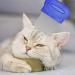 2 Pcs Cat Flea Comb Flea Comb for Cats Portable Tight Design Non Slip Handle for Long-Haired Cat Short-Haired Cat - Buy Online on GoSupps.com