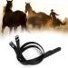 PBZYDU saddle for wooden horse stamping belt belt stirrup belt made of stainless steel Strup Leather's Horse Stirring Belt Belt horse accessories for Horse Horse Stirrups