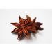 Natural World Whole Star Anise 55 Grams - Buy Online on GoSupps.com
