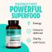 FreshCap Ultimate Mushroom Complex 120ct - Lion's Mane, Reishi, Cordyceps, Chaga, Turkey Tail, Maitake Supplement - Real Fruiting Body, No Fillers - Buy Online on GoSupps.com