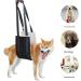 Dog Hip Joint Lifting Assist with Autumn and Winter Black Adjustable Handle Length Suitable for Elderly Disabled Dogs for Assisted Rehabilitation Use Black L - Buy Online on GoSupps.com