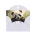 YYHWHJDE White Cute Little Panda Printing High-Grade Pearl Paper Greeting Card : 4x6 In For Birthday Card Party Invitation Card White One Size