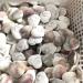 Natural Quartz Crystal White Shell Heart Natural Stones Minerals Crystals s for Home Decoration Home Office Decor 30-40mm 1pcs - Buy Online on GoSupps.com