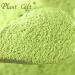 Plant Gift 100% Celery Powder 100G/3.25oz Non-GMO Powder No Filler No additives Natural Chinese Flour Adds Flavor and Taste Great Flavor for Drinks 2UK-PO0081 - Buy Online on GoSupps.com
