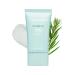 BRING GREEN Tea Tree CICA Mineral Sunscreen SPF 50+ PA++++ | Non-Nano Zinc Oxide Face Sun Lotion Reef Safe Korean Sunscreen for Sensitive Skin Oil-Free 1.69 fl. oz