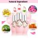 Btspring Clear Flower Jelly Lipstick 6-Pack - Nutritious Moisturizing Lip Balm, Long-Lasting Matte Lip Gloss - Pink - Buy Online on GoSupps.com