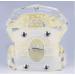 Bovdc Orthodontic Tooth Model for Malocclusion Study - Dental Education & Treatment Guide - Buy Online on GoSupps.com