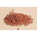 500 Seeds to sow The Granary of Abundance RADIS Halflong for 18 days Radix - Buy Online on GoSupps.com