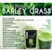 SEP Organic Prime Barley Grass Juice Powder |Super food |Natural Alkaline and Chlorophyll - 100 GM By Organic Prime - Buy Online on GoSupps.com