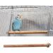 Premium Nature Birds Set: 4 Essential Accessories for Bird Cages - Pencil Bars & Percussion Rods for Budgies & Canaries - Buy Online on GoSupps.com