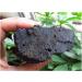 Natural Crystal Rough for Natural Black Tourmaline Crystal Stone Original ERTEYIN - Buy Online on GoSupps.com