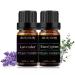 Lavender and Eucalyptus Essential Oil, 100% Pure, Undiluted, Natural, Organic Aromatherapy Essential Oils Gift Set, 10MLx2 Lavender+Eucalyptus