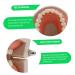 Buy Solustrie Dental Study Model for Kids | Educational Teeth & Oral Cavity Teaching Toy - International Shipping Available - Buy Online on GoSupps.com
