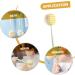 BELLIFFY Bath Brush Cleaning Sponges - Exfoliating Loofah Shower Body Brush for Household Use - Buy Online on GoSupps.com