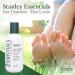 Stanley Essentials Feet TreatMint Foot Lotion 8oz - Natural Peppermint Moisturizing Cream for Pain Relief - 6 Pack - Buy Online on GoSupps.com