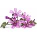 Herboristeria du Valmont Mauve Flowers Herbal Tea 125 grams - Buy Online on GoSupps.com