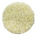 Organic Jasmine Fragrant White 2.5kg (BWFO) - Buy Online on GoSupps.com