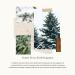 Thymes Laundry Detergent - 32 Fl Oz - Frasier Fir | Premium Heritage Home Care for Fresh Clean Laundry - International Shipping Available - Buy Online on GoSupps.com