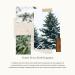 Thymes Frasier Fir Hand Wash Refill - Nourishing Pine Scented Liquid Soap - 24.5 Fl Oz - Ideal for Daily Cleansing - International Shipping Available - Buy Online on GoSupps.com