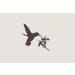 Cricut Vinyl Transfer Tape 12X48 Standard Grip - 2002363 | Best Quality StandardGrip Transfer Tape - Buy Online on GoSupps.com