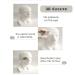 Aluminum Eye Shield Eye Patch - Breathable Eye Protection for Cataract Surgery & Post-Op Care - Buy Online on GoSupps.com
