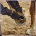 Buy HZAOPZE 2 PCs 2-in-1 Hoof Scraper & Brush - Anti-Slipping Horse Grooming Tool for Clean Hooves | International Shipping Available - Buy Online on GoSupps.com
