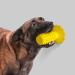Zceplem Dog Toothbrush Toys - Conical & Toothed Cubes for Puppies | Classic Sound Dog Zingers (Yellow) | Best Study Toys for Dogs | Perfect for Shelters & Homes - Buy Online on GoSupps.com