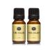 P&J Trading Fragrance Oil | Pina Colada Oil 10ml 2pk - Candle Scents for Candle Making Freshie Scents Soap Making Supplies Diffuser Oil Scents
