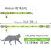Tagme Personalized Cat Neck Band - Adjustable Safety Collar with Name & Phone - 2-Pack Green (18-28 cm) - Buy Online on GoSupps.com