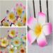12PCS Hawaiian Plumeria Flower Hair Clips - Bohemia Foam Hairpins for Bridal Wedding Party Beach Holiday (Rose Red) - Buy Online on GoSupps.com
