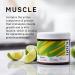 Kion Essential Amino Acids Powder - Muscle Recovery & Energy Boost - Watermelon Flavor - 30 Servings - Buy Online on GoSupps.com
