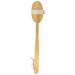 Wholesome Beauty Dry Skin Body Brush - 11-Inch Wood Handle- Exfoliating and Detoxifying - Buy Online on GoSupps.com