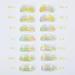 Lomansa Lash Lift Pads Lash Lift Shields Upgraded Eyelash Lift Tool 7 Sizes Suitable for Salon Eyelash Perming - Buy Online on GoSupps.com