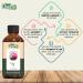 Lotus Oil (Nelumbo nucifera) - Pure Natural Essential Oil for Skincare Hair Care & Aromatherapy | 30ml/1.01fl oz - Buy Online on GoSupps.com