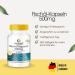 Fish Oil Capsules 500mg - High Dose Omega-3 EPA & DHA - 250 Capsules | Warnke Vital Substances - Premium German Pharmacy Quality - Buy Online on GoSupps.com