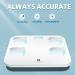 Arboleaf Smart Scale for Body Weight with Wi-Fi and Bluetooth + Smartphone App - 14 Body Metrics, Wireless Cloud Storage - BMI, BMR - 1 Count - Buy Online on GoSupps.com