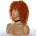 ColourfulPanda Afro Wig for Women - Curly Ginger Red Synthetic Hair with Pony for Black Women | Kinky Curly Orange Copper Style - Buy Online on GoSupps.com