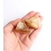 Natural Crystal Rough 1PC Natural Raw Citrine Ore Crystal Rock Collection Home Decoration and DIY Gifts Fish Tank Stone Beautiful Crystal (Color : Brazil Citrine Size : 30-40g) 30-40g Brazil Citrine - Buy Online on GoSupps.com