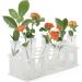 10-Pack 60ml Floral Tubes with Rack Holder for Milkweed Cuttings - Buy Online on GoSupps.com