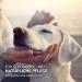 Aniforte Aloe Vera Puppy Shampoo 200ml - Mild Perfume-Free Dog Shampoo for Sensitive Young Dogs & Shiny Easy-to-Combing Fur - International Shipping Available - Buy Online on GoSupps.com