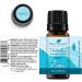 Plant Therapy Travel Essential Oil Blend 10 mL | 100% Pure Aromatherapy - Natural & Undiluted - Buy Online on GoSupps.com