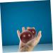 Clispeed Handball Massage Balls - 5 Sets of Wooden Hand Exercise Devices for Outdoor Use | Portable Gymnastics Balls for Massage & Craft Activities - Buy Online on GoSupps.com